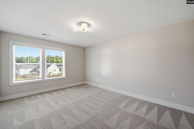 133 Collins Cove Drive, Chapin, SC 29036