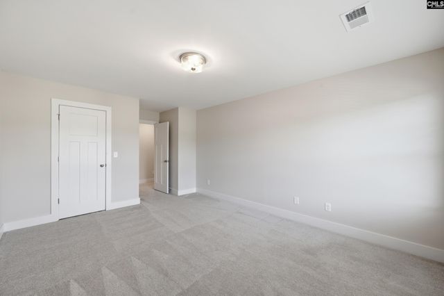133 Collins Cove Drive, Chapin, SC 29036