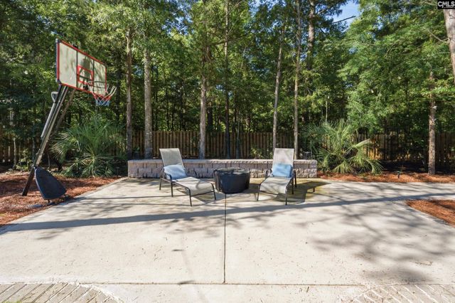 133 Collins Cove Drive, Chapin, SC 29036