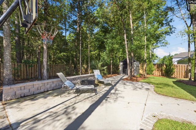 133 Collins Cove Drive, Chapin, SC 29036