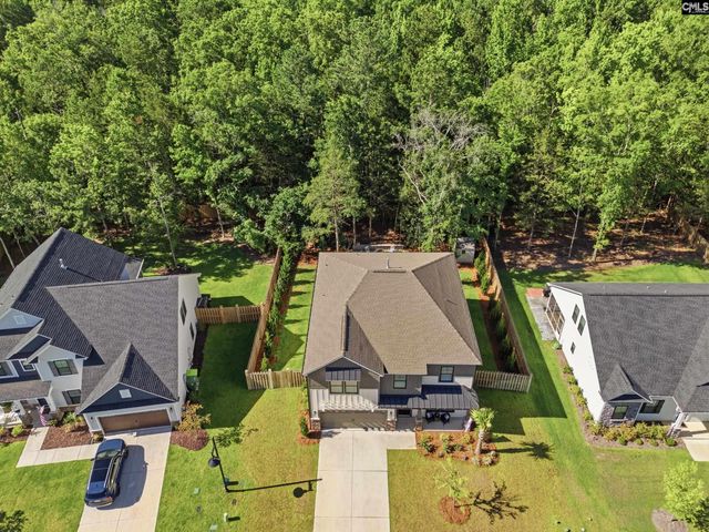 133 Collins Cove Drive, Chapin, SC 29036