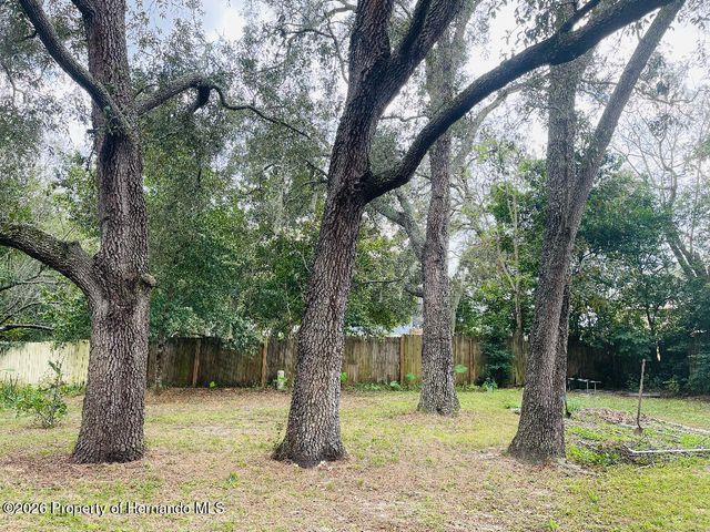 7214 Fireside Street, Spring Hill, FL 34606