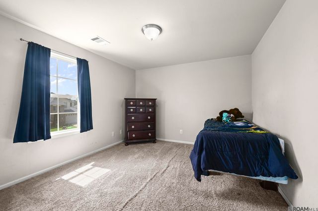 10709 Braves Ave, Denham Springs, LA 70726