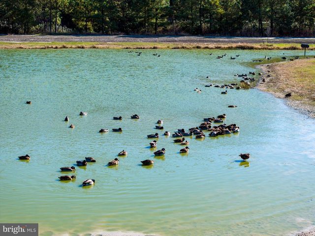 964 TAYLORS ISLAND RD, Madison, MD 21648