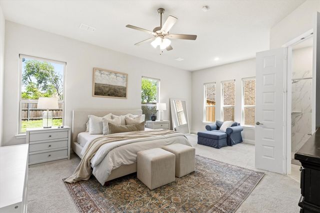 320 Moonvine Drive, Little Elm, TX 75068