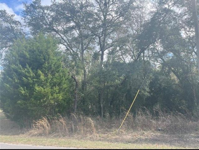 TBD 94TH AVE, Belleview, FL 34420