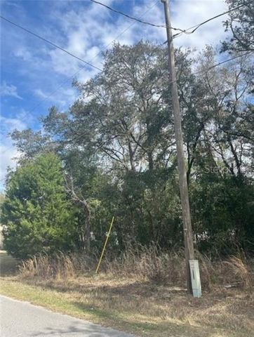 TBD 94TH AVE, Belleview, FL 34420