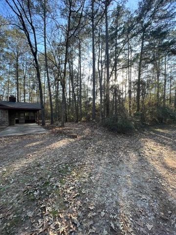 329 Blue Willow Drive, Village Mills, TX 77663