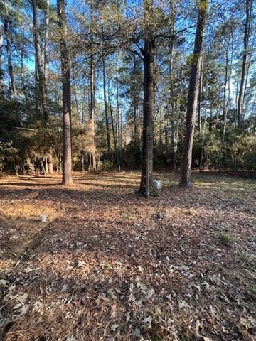 329 Blue Willow Drive, Village Mills, TX 77663