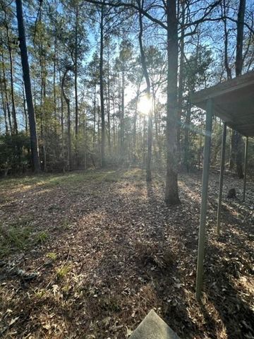 329 Blue Willow Drive, Village Mills, TX 77663