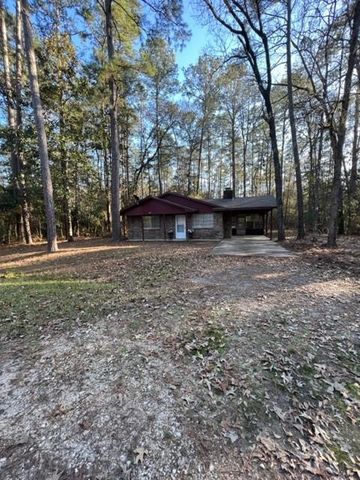 329 Blue Willow Drive, Village Mills, TX 77663