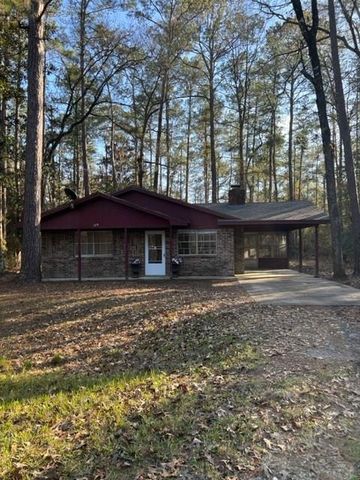 329 Blue Willow Drive, Village Mills, TX 77663