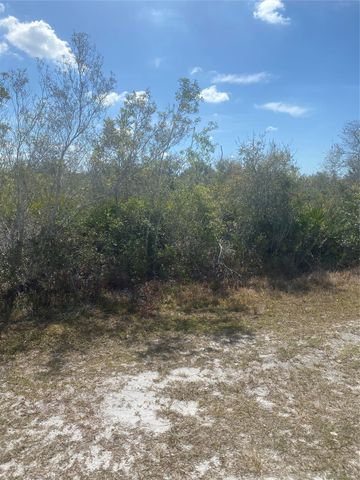 Lot 5 BLK 341 Palm Beach Dr, Indian Lake Estates, FL 33855
