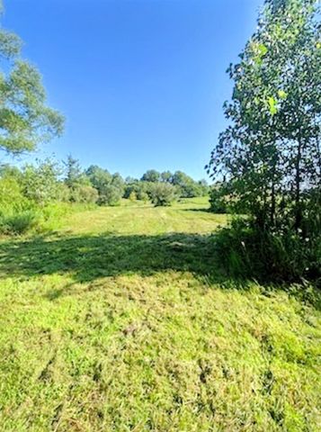 2311 E Glendora Road, Buchanan, MI 49107