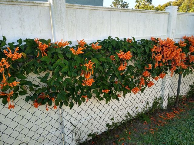 7800 BROOKRIDGE DRIVE, Port Richey, FL 34668