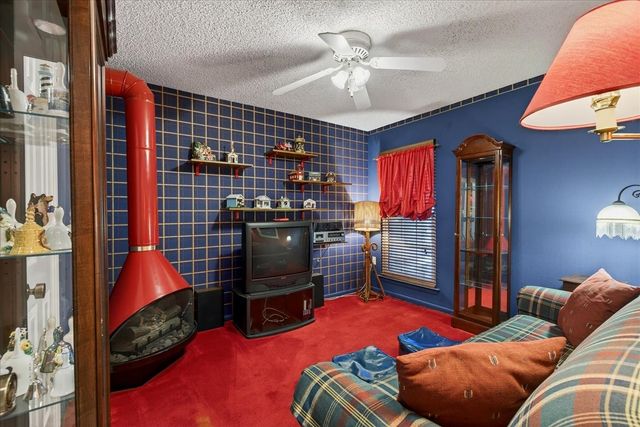 10118 Lakeview Street, Payne Springs, TX 75156