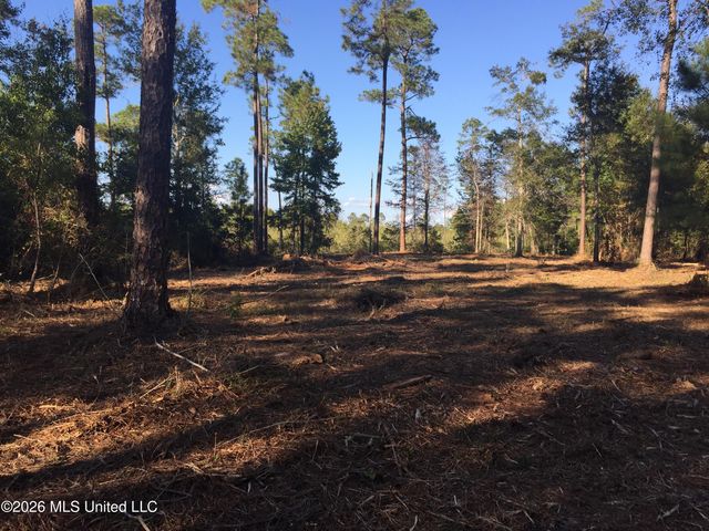 Crump Road, Kiln, MS 39556