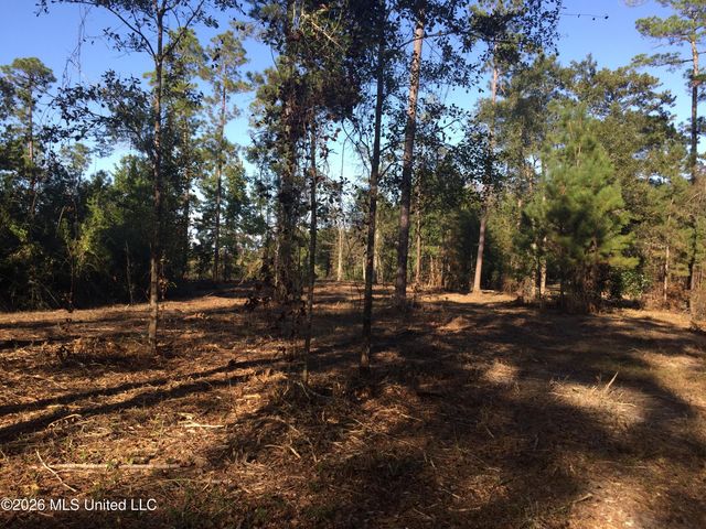 Crump Road, Kiln, MS 39556