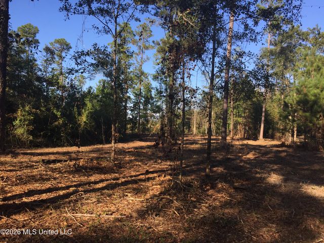 Crump Road, Kiln, MS 39556