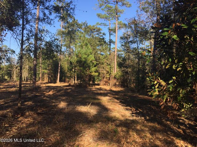 Crump Road, Kiln, MS 39556