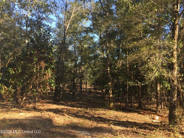 Crump Road, Kiln, MS 39556