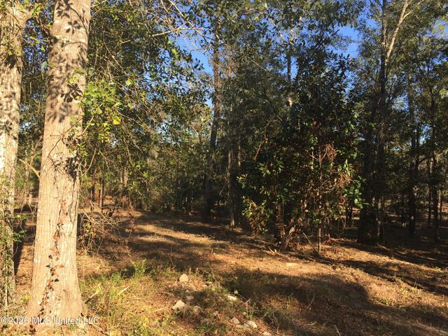 Crump Road, Kiln, MS 39556