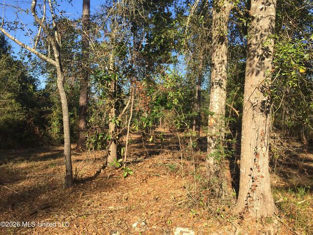 Crump Road, Kiln, MS 39556