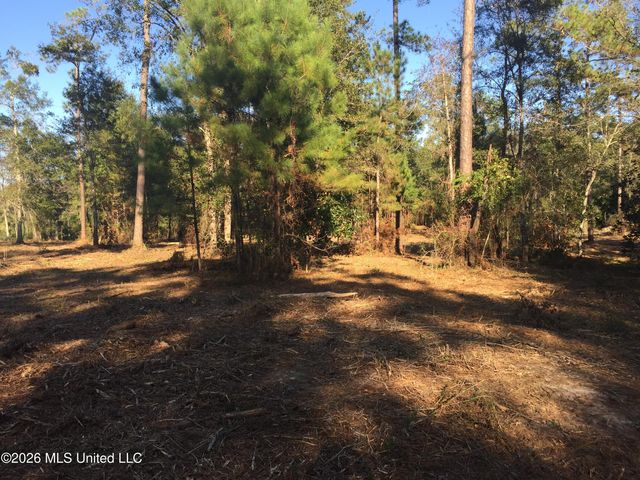 Crump Road, Kiln, MS 39556