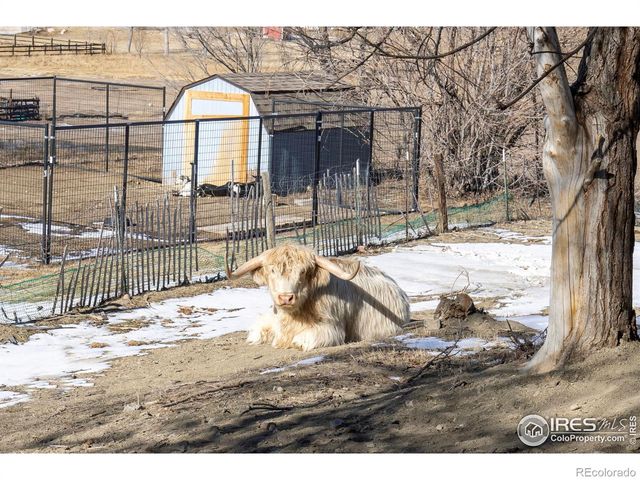 4963 Kelso Road, Boulder, CO 80301