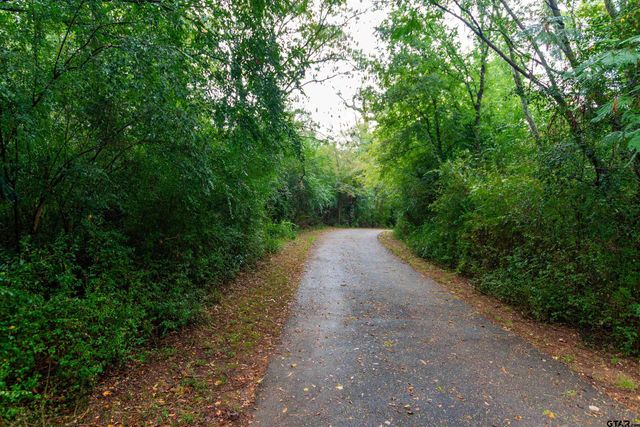 19899 Southside Cir, Winona, TX 75792