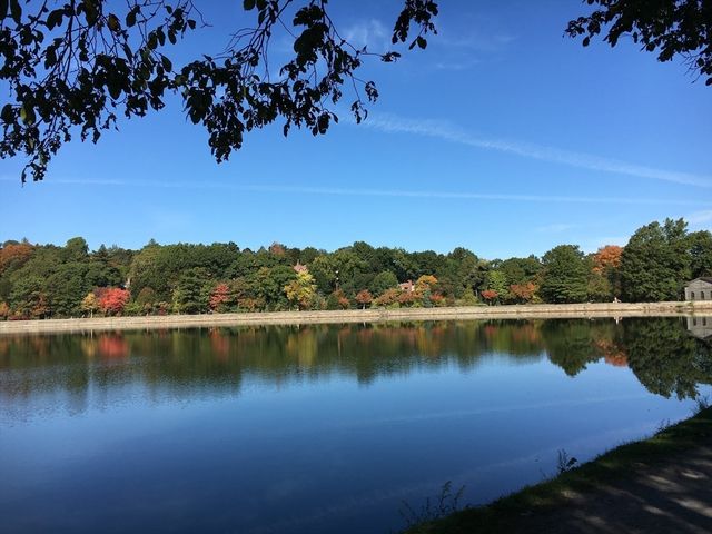 15 Adelaide Street 1R, Boston, MA 02130