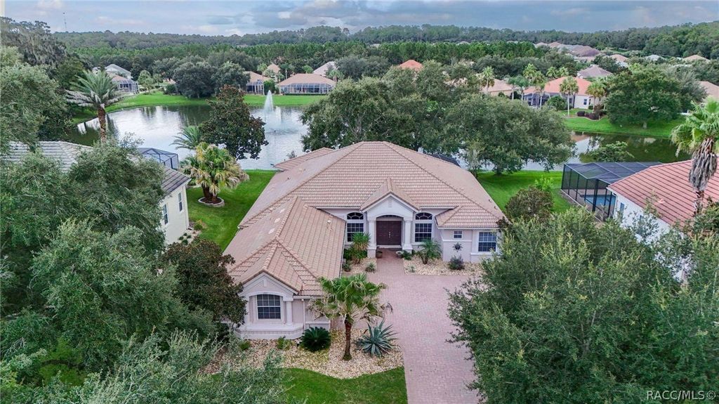 1041 W Beagle Run Loop, Hernando, FL 34442