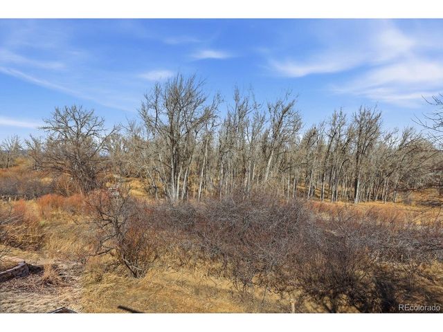 2311 Cliffrose Ln, Louisville, CO 80027