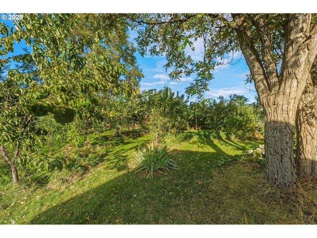 327 Powell Rd, Milton Freewater, OR 97862