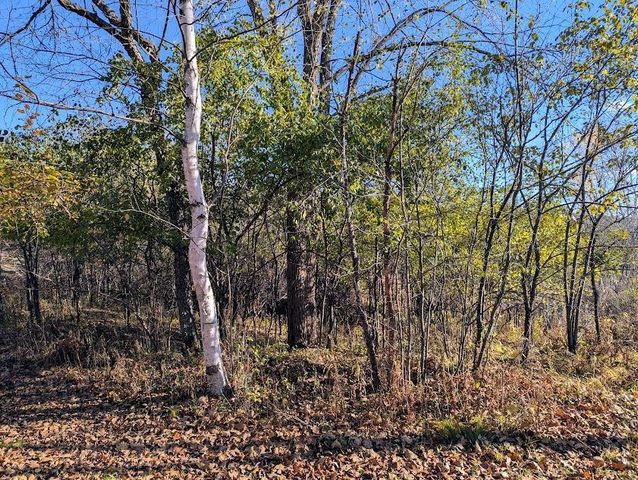 N9689 BASS LAKE LANE, Phillips, WI 54555