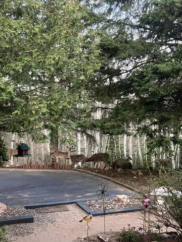 N9689 BASS LAKE LANE, Phillips, WI 54555