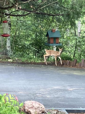 N9689 BASS LAKE LANE, Phillips, WI 54555