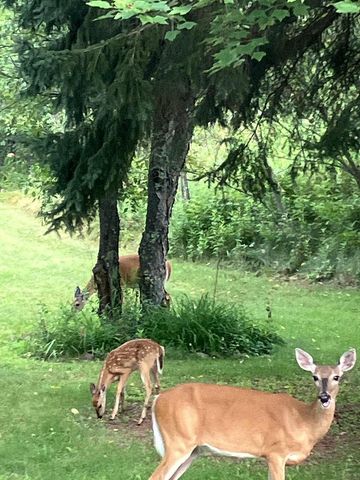 N9689 BASS LAKE LANE, Phillips, WI 54555