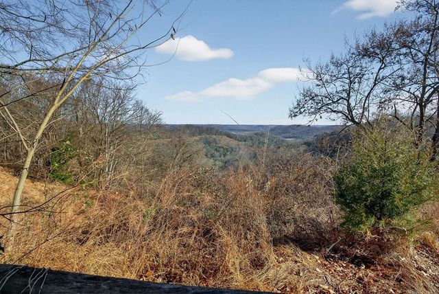 99 Judkins Ln, Hickman, TN 38567