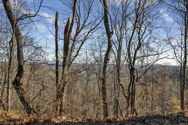 99 Judkins Ln, Hickman, TN 38567