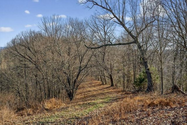 99 Judkins Ln, Hickman, TN 38567