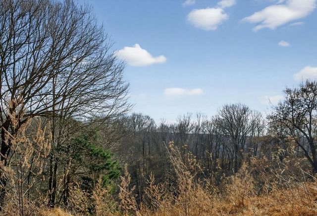 99 Judkins Ln, Hickman, TN 38567