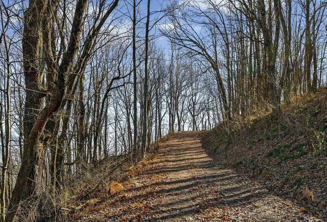 99 Judkins Ln, Hickman, TN 38567