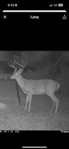 99 Judkins Ln, Hickman, TN 38567