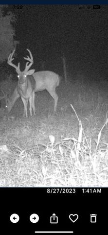 99 Judkins Ln, Hickman, TN 38567