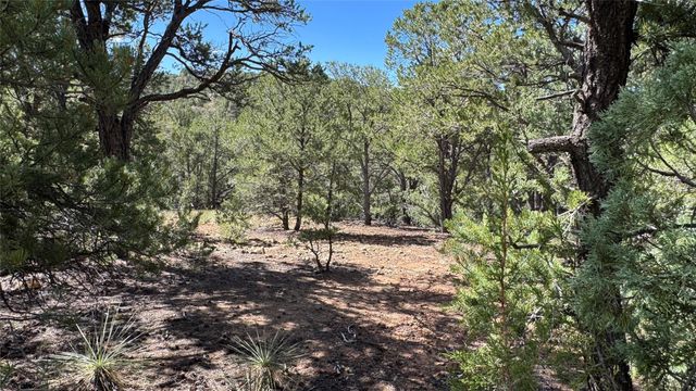 2377 Camino Del Oso, Santa Fe, NM 87501