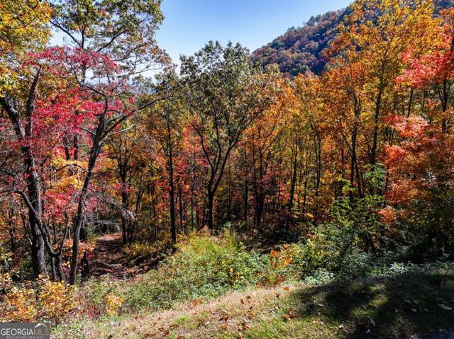 LOT 46 Utana Bluffs Trail, Ellijay, GA 30540