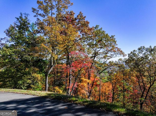 LOT 46 Utana Bluffs Trail, Ellijay, GA 30540