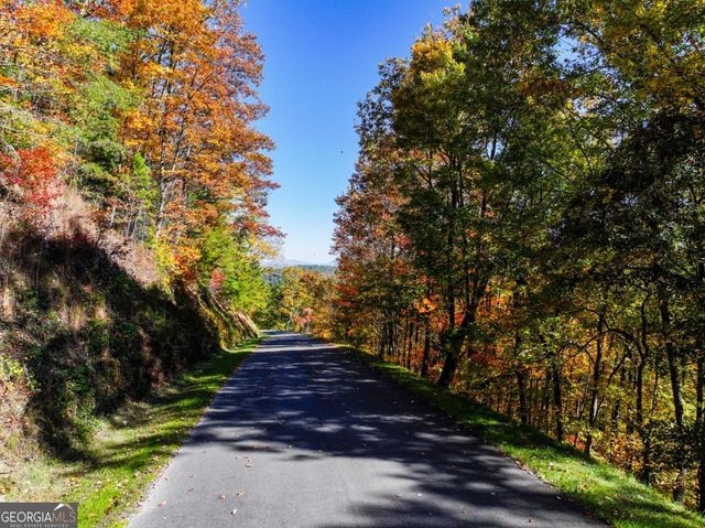 LOT 46 Utana Bluffs Trail, Ellijay, GA 30540