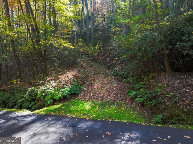 LOT 46 Utana Bluffs Trail, Ellijay, GA 30540